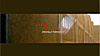 www.shedhalle.de